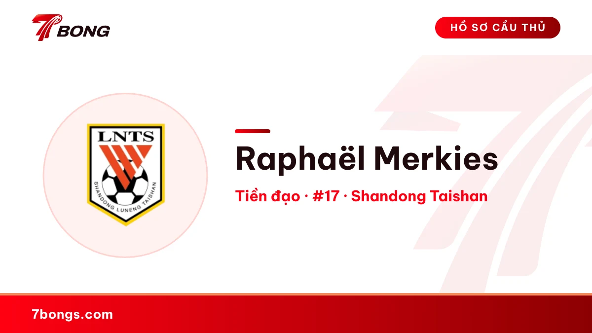 Raphaël Merkies — Shandong Taishan