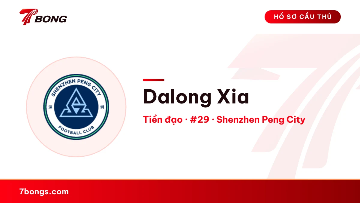 Dalong Xia — Shenzhen Peng City