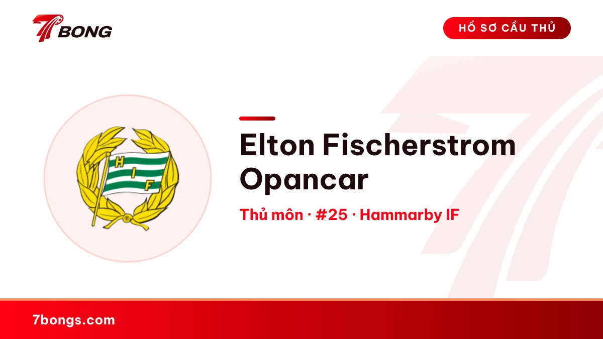Elton Fischerstrom Opancar — Hammarby IF