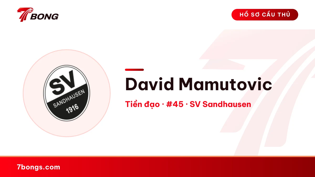 David Mamutovic — SV Sandhausen