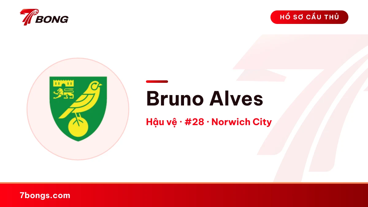 Bruno Alves — Norwich City
