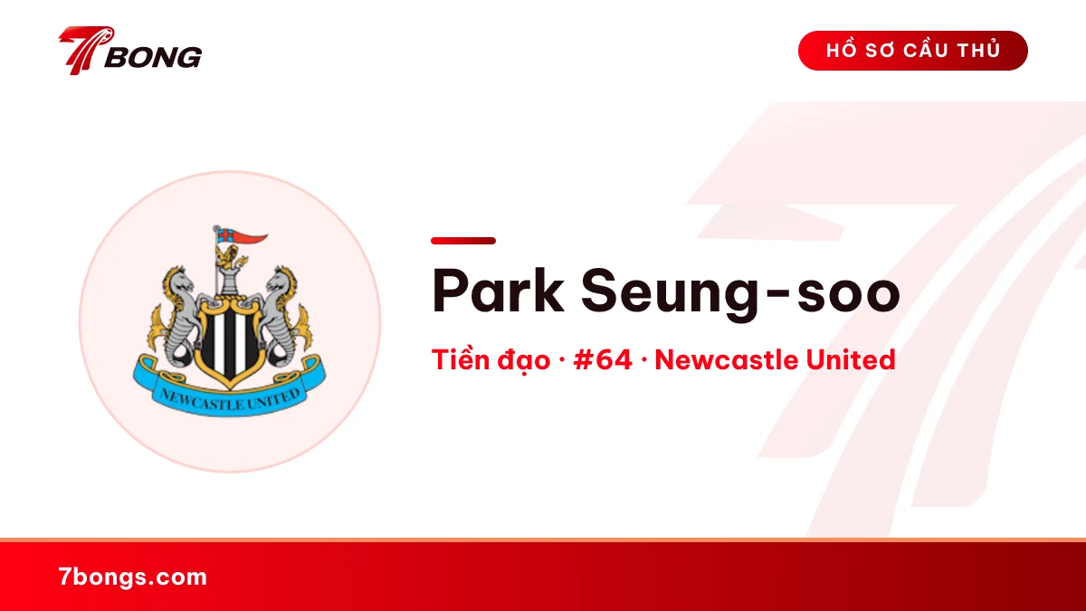 Park Seung-soo — Newcastle United