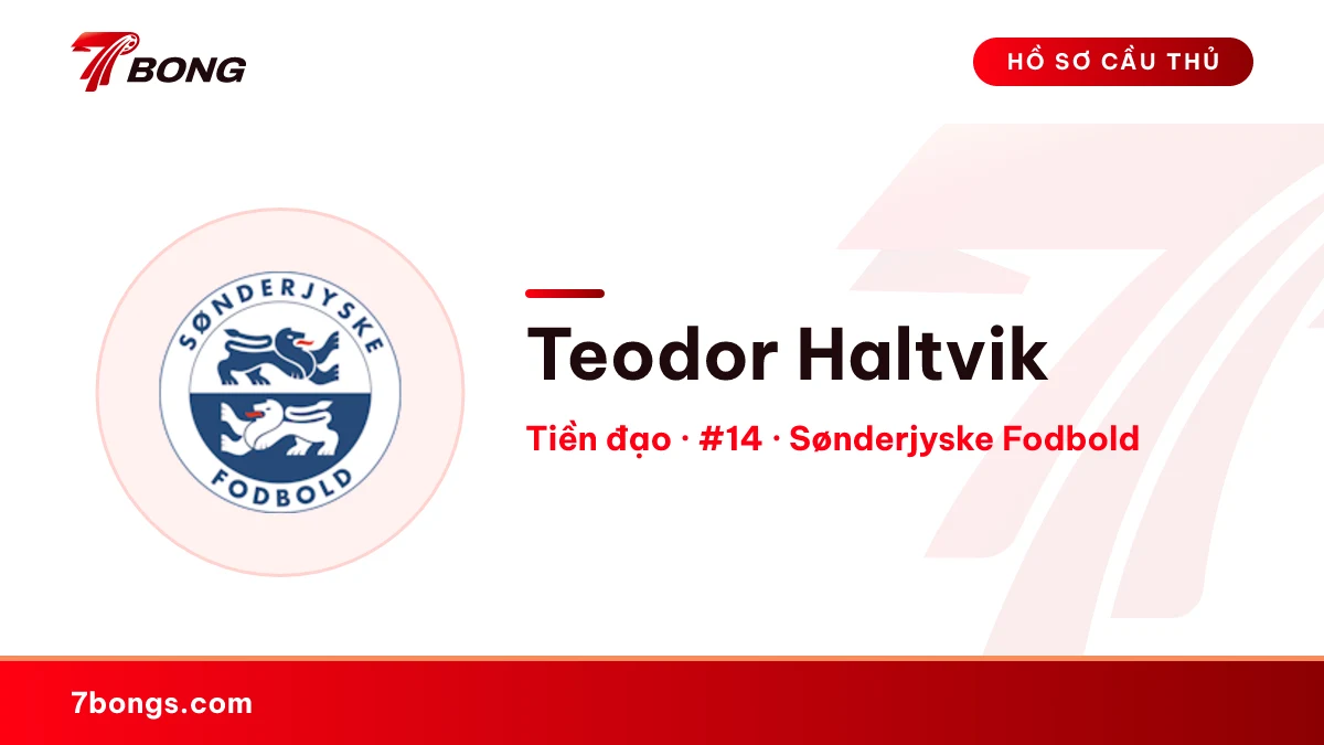 Teodor Haltvik — Sønderjyske Fodbold