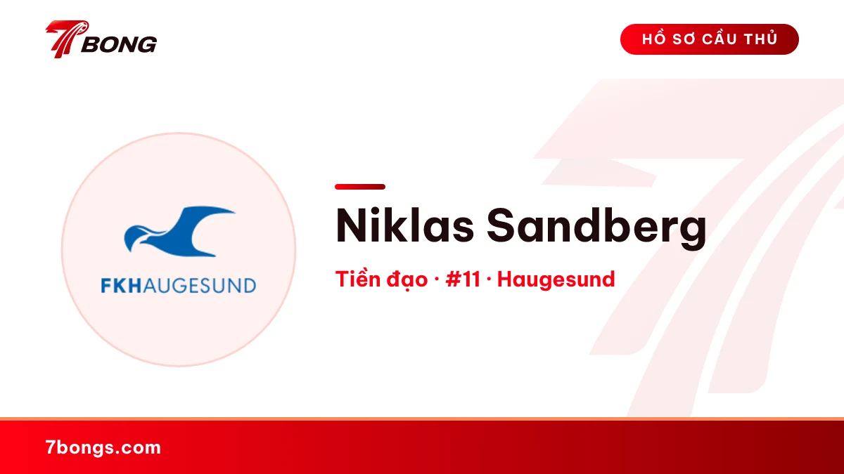 Niklas Sandberg — Haugesund