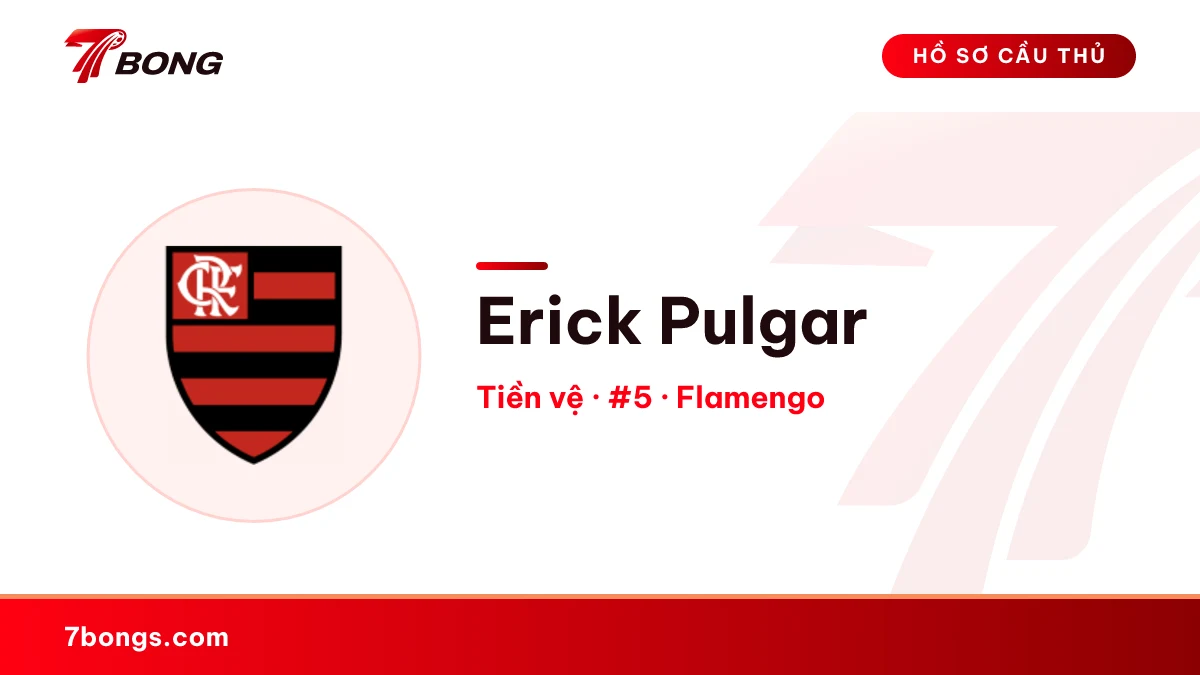 Erick Pulgar — Flamengo
