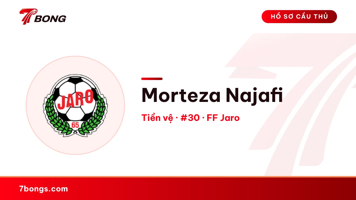 Morteza Najafi — FF Jaro