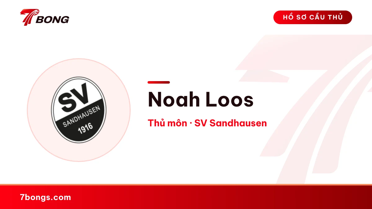 Noah Loos — SV Sandhausen