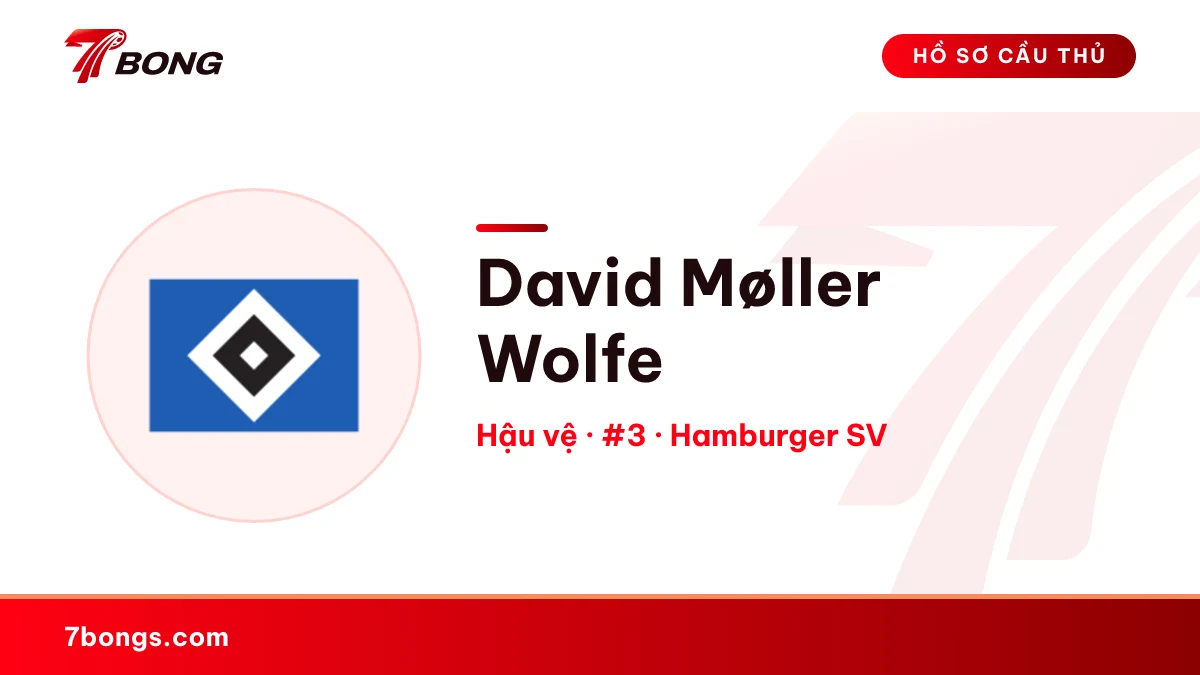 David Møller Wolfe — Hamburger SV