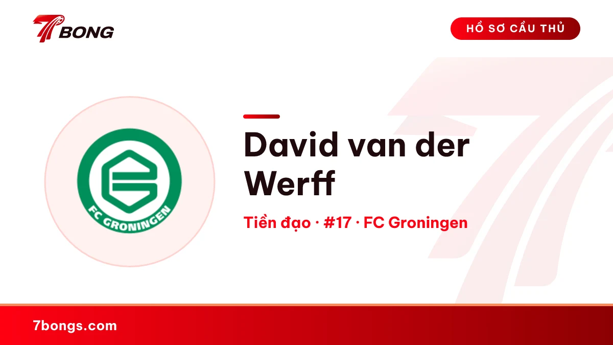 David van der Werff — FC Groningen