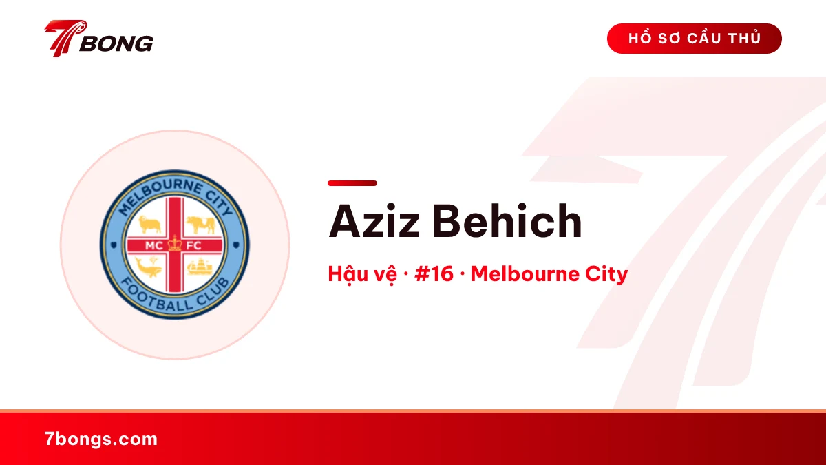 Aziz Behich — Melbourne City