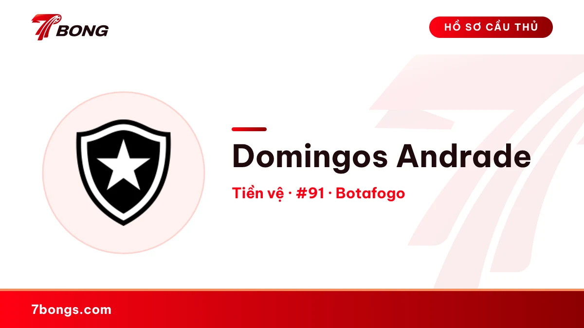 Domingos Andrade — Botafogo