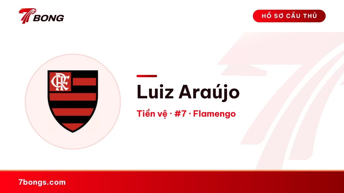 Luiz Araújo — Flamengo