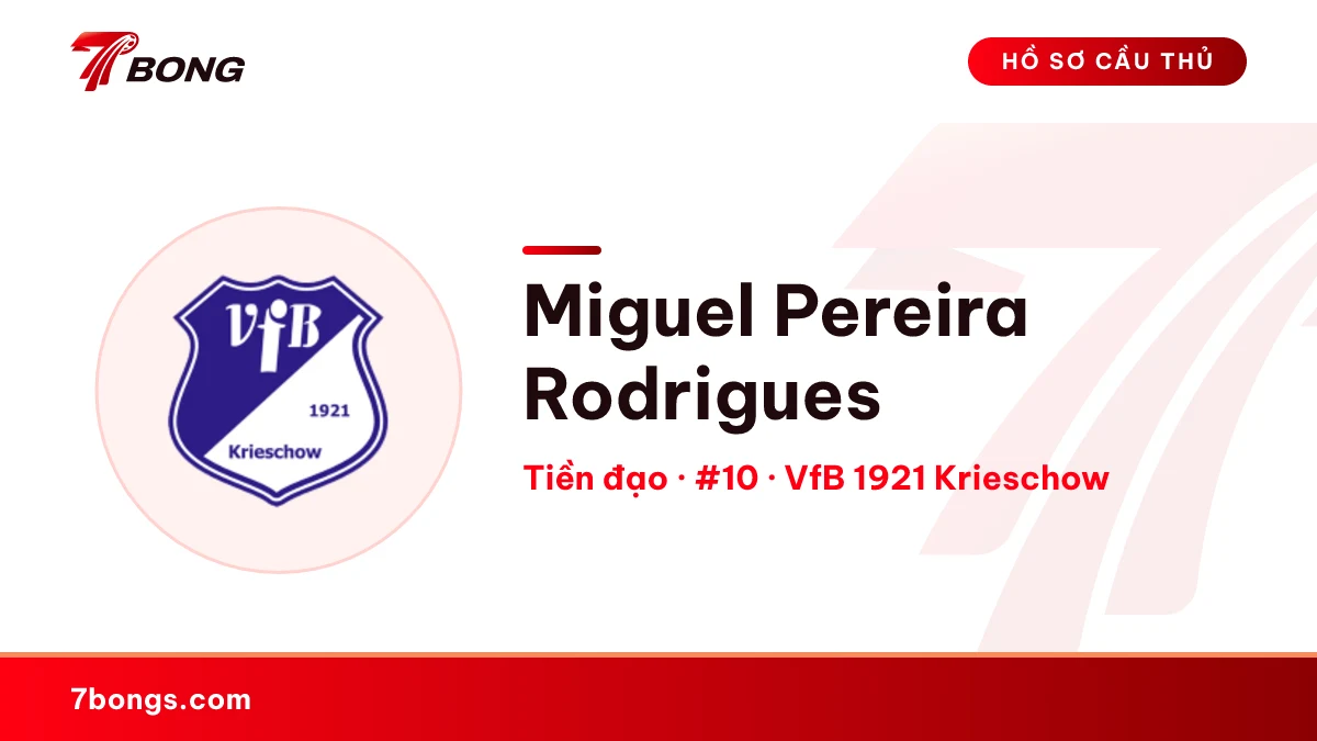 Miguel Pereira Rodrigues — VfB 1921 Krieschow