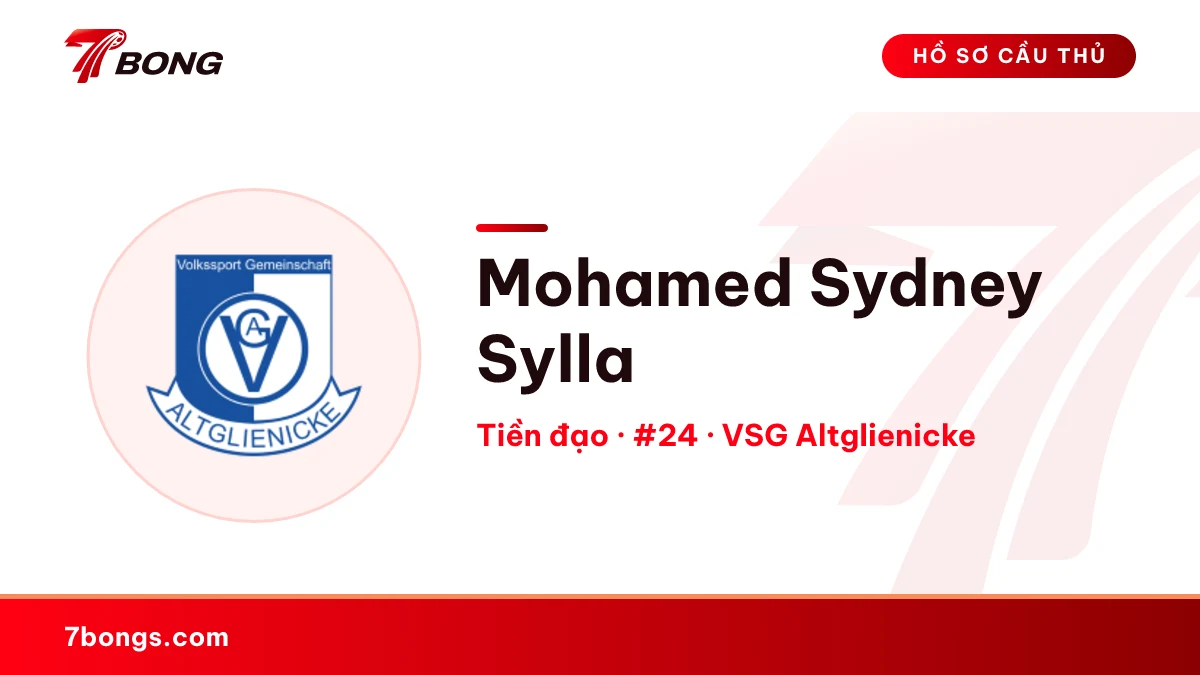 Mohamed Sydney Sylla — VSG Altglienicke