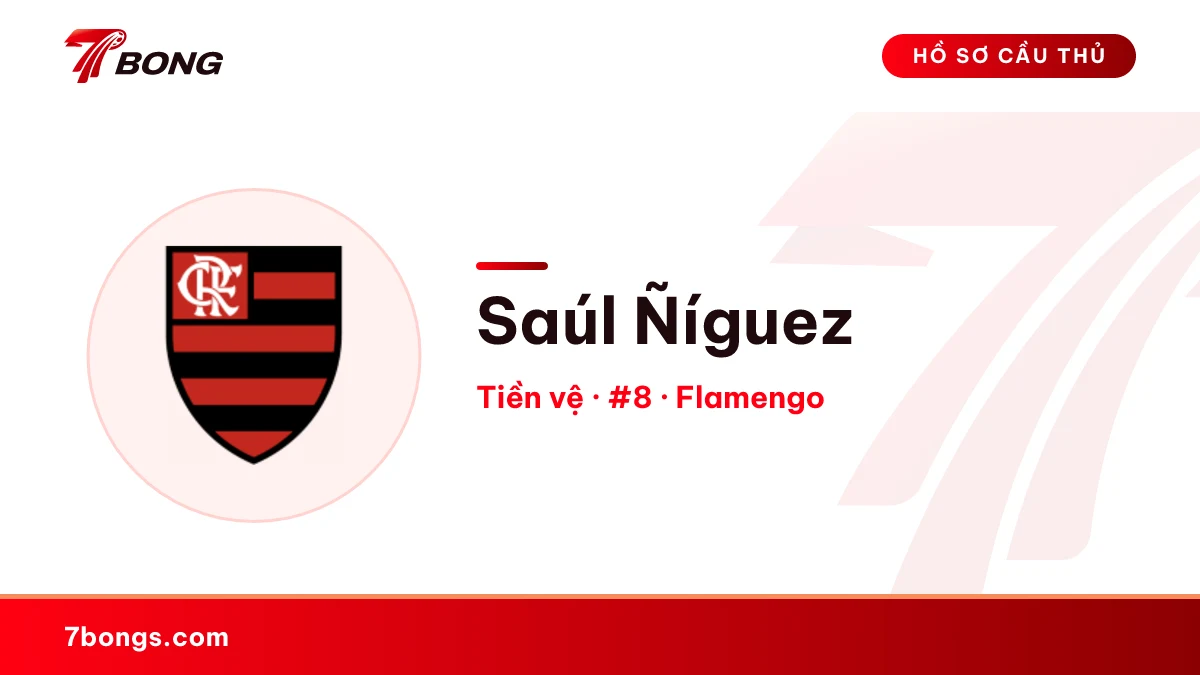 Saúl Ñíguez — Flamengo