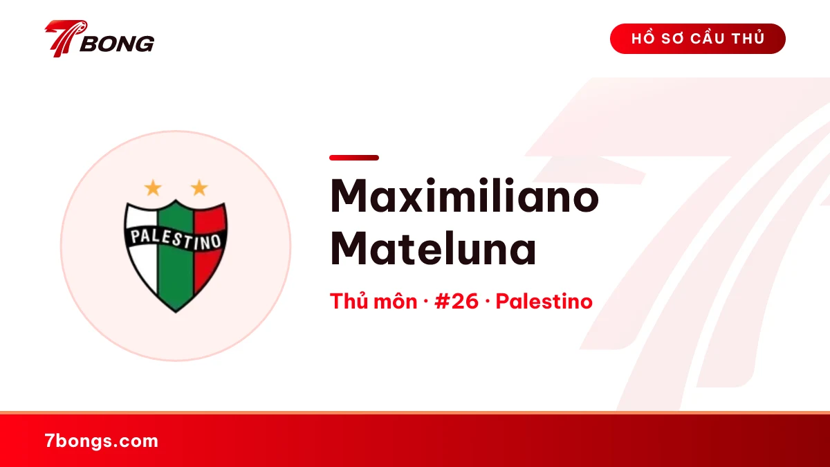 Maximiliano Mateluna — Palestino