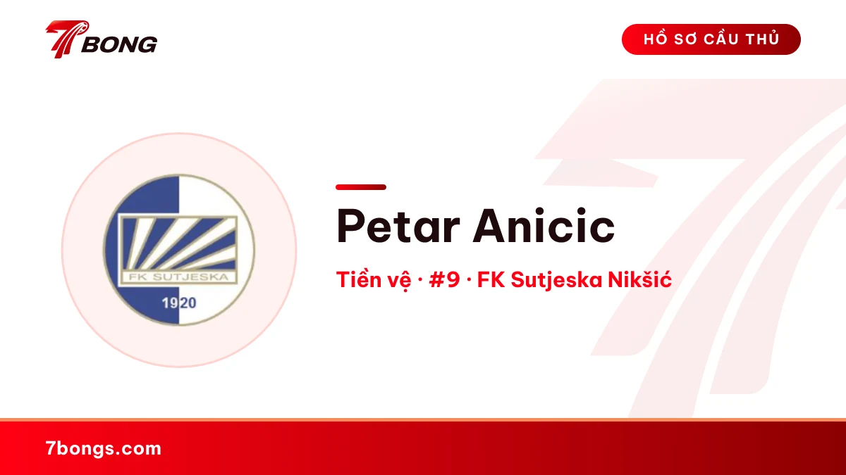 Petar Anicic — FK Sutjeska Nikšić