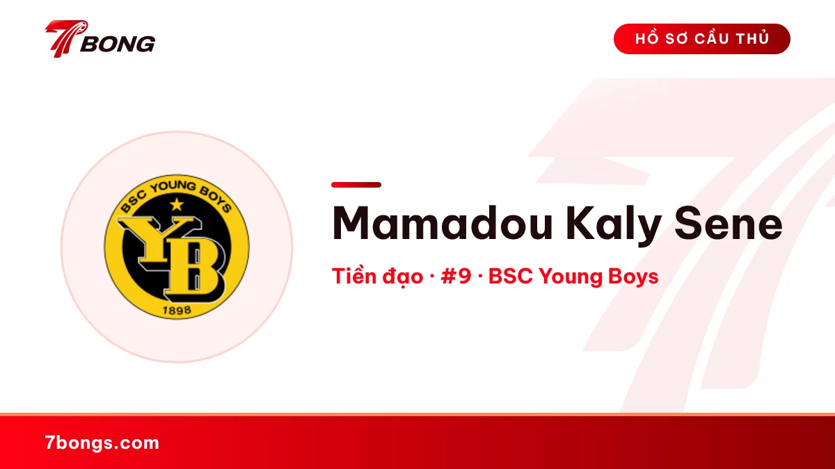 Mamadou Kaly Sene — BSC Young Boys