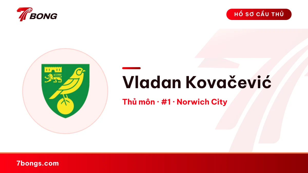Vladan Kovačević — Norwich City