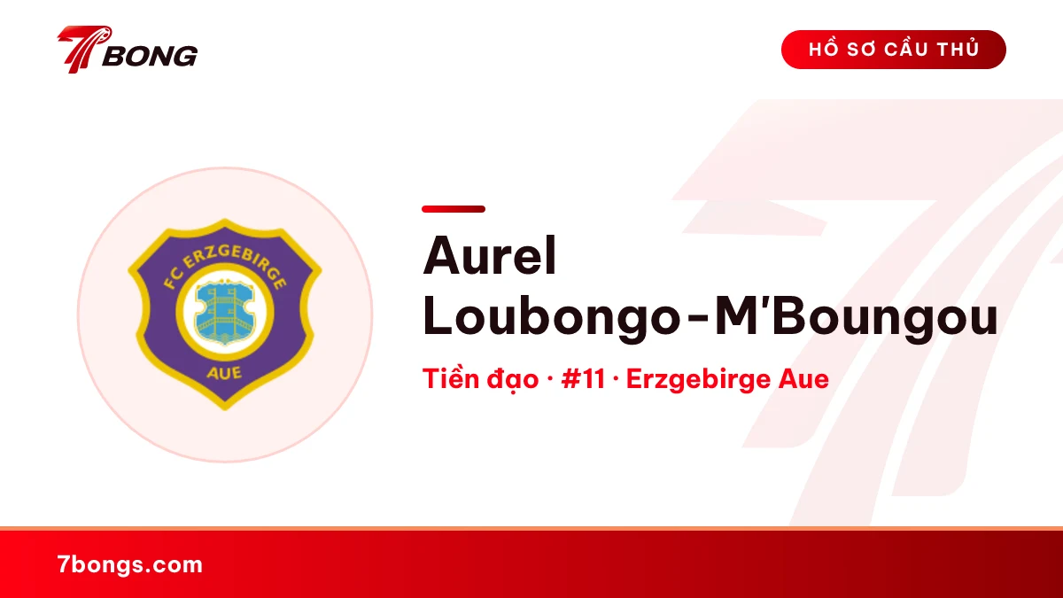 Aurel Loubongo-M'Boungou — Erzgebirge Aue