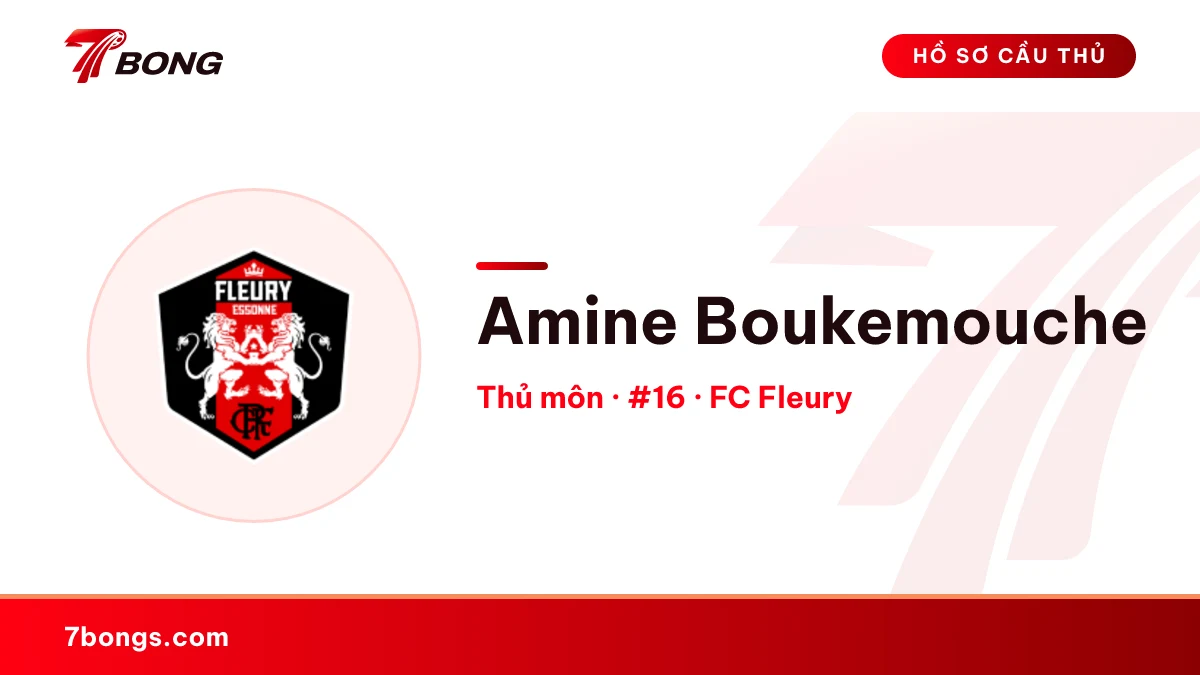 Amine Boukemouche — FC Fleury