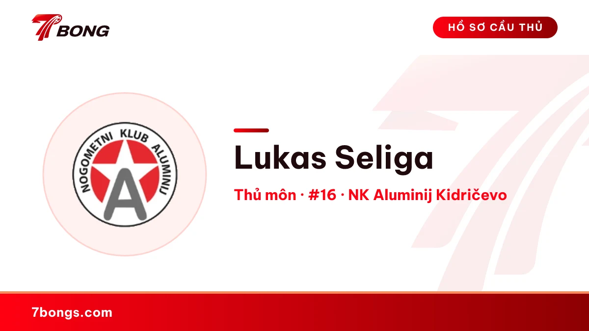 Lukas Seliga — NK Aluminij Kidričevo