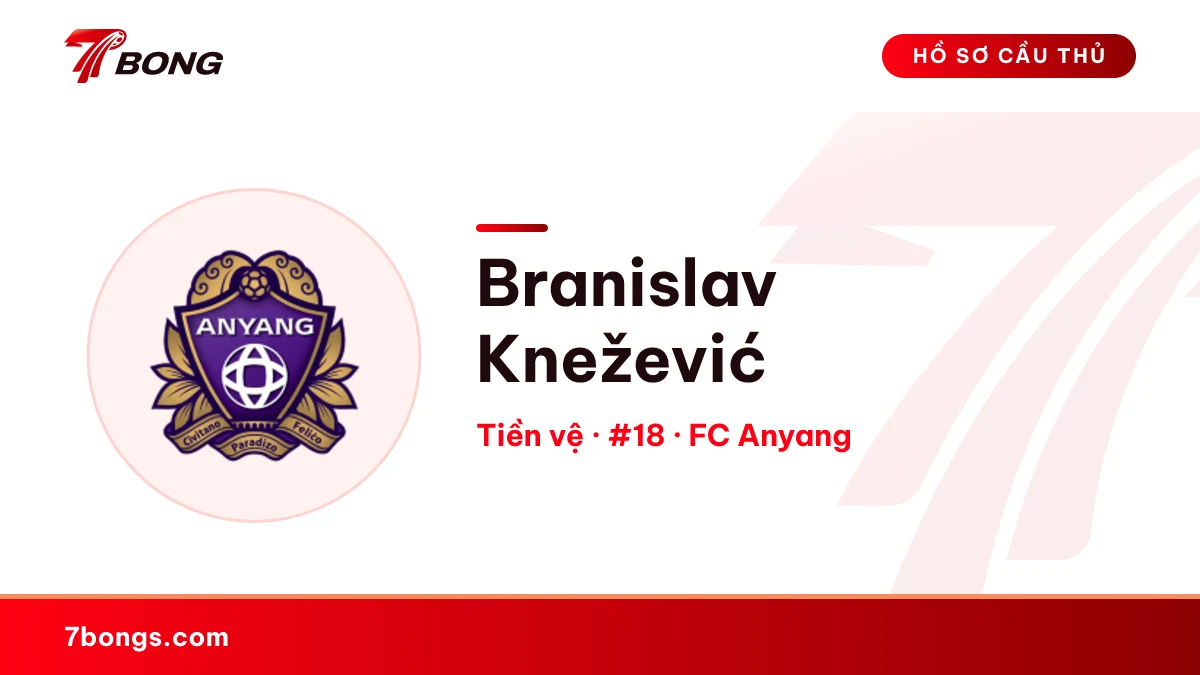 Branislav Knežević — FC Anyang
