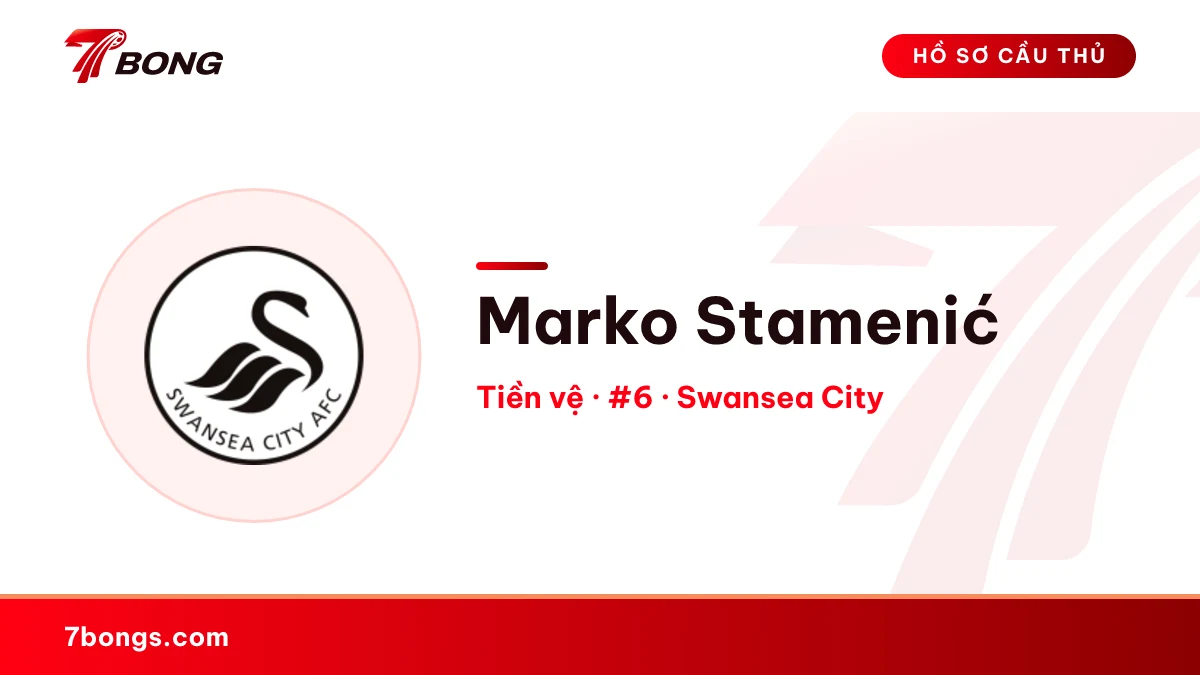 Marko Stamenić — Swansea City