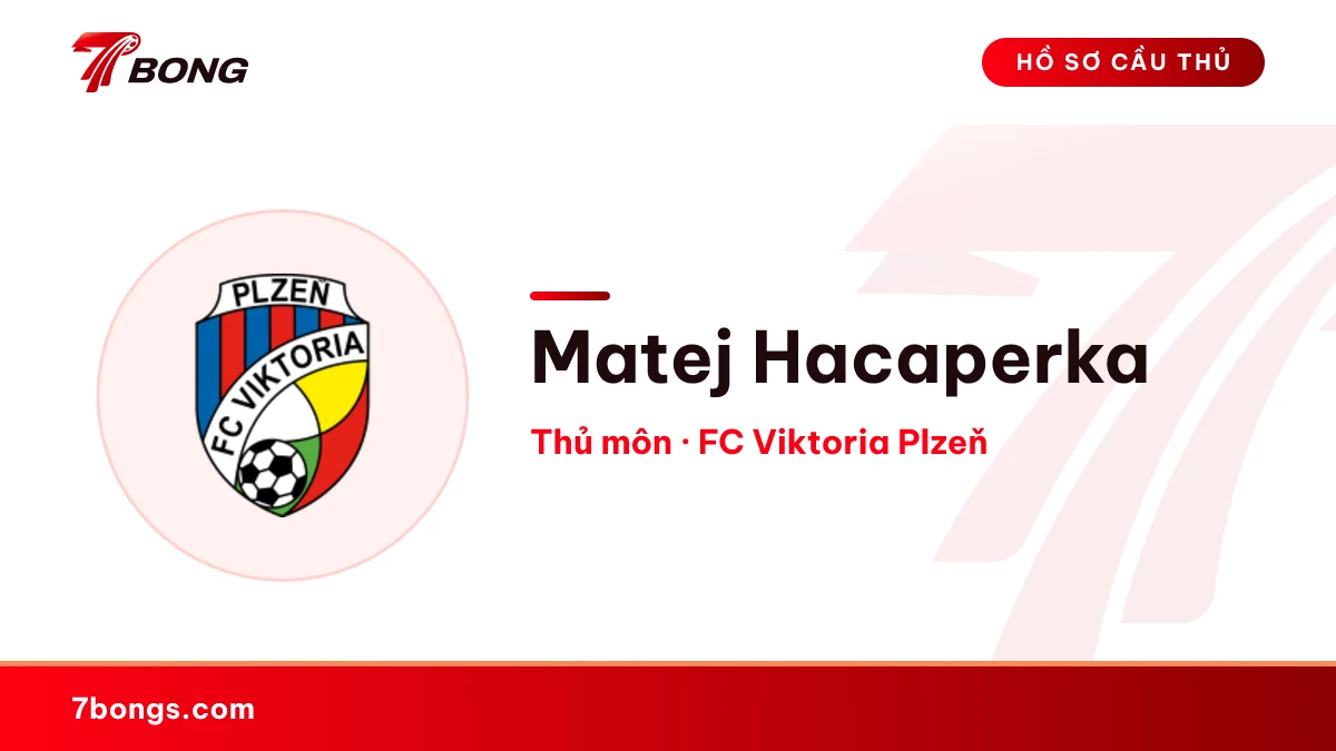 Matej Hacaperka — FC Viktoria Plzeň