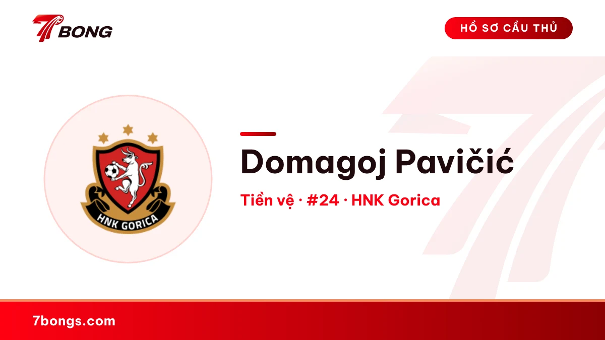 Domagoj Pavičić — HNK Gorica