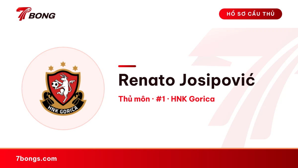 Renato Josipović — HNK Gorica