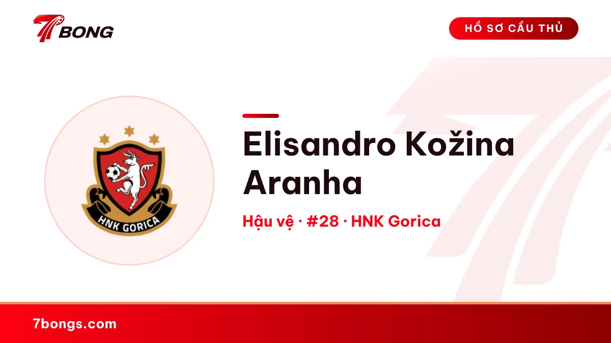 Elisandro Kožina Aranha — HNK Gorica