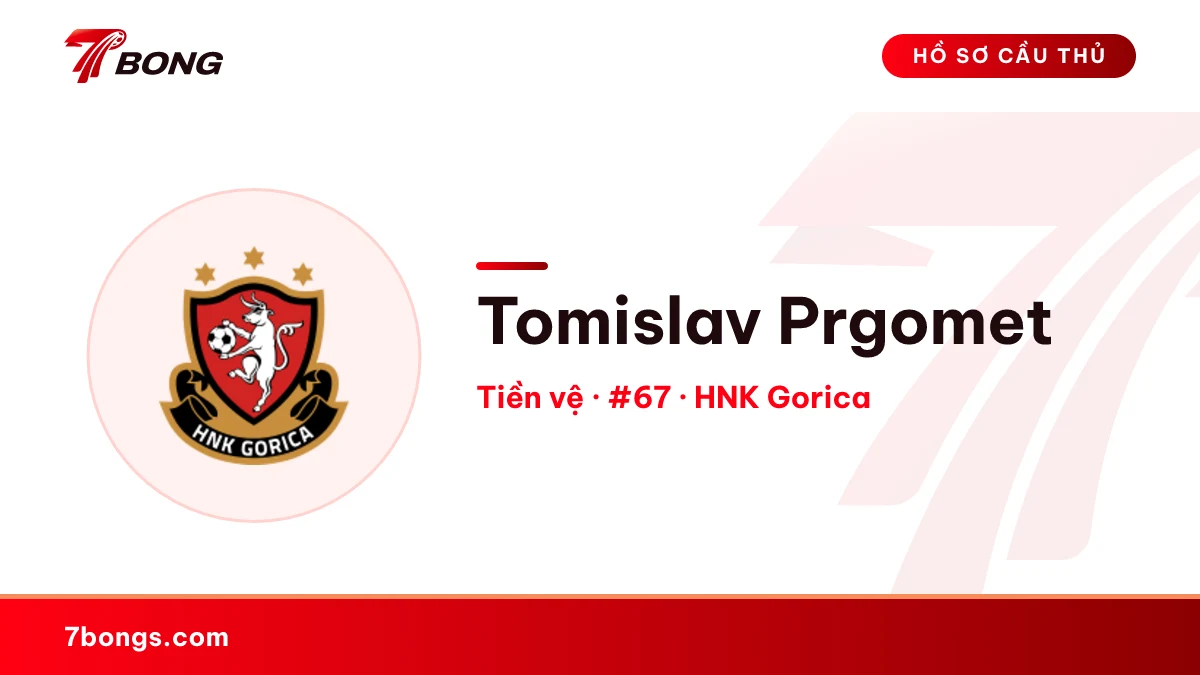 Tomislav Prgomet — HNK Gorica