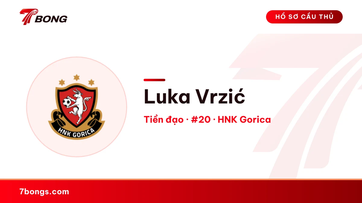 Luka Vrzić — HNK Gorica