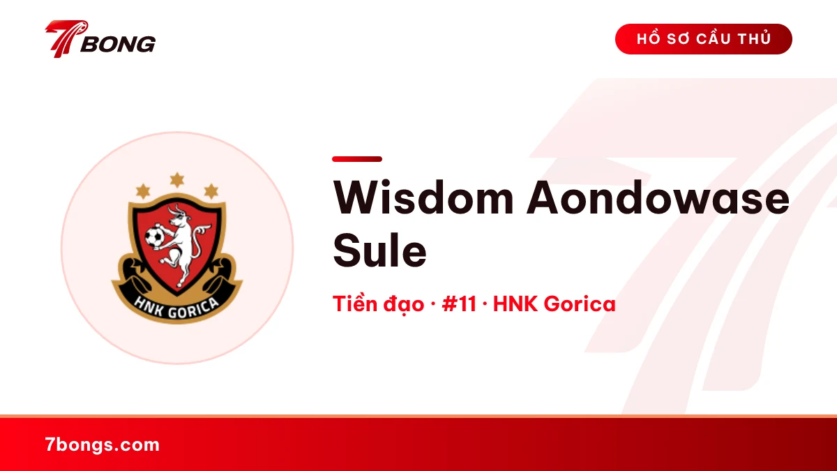 Wisdom Aondowase Sule — HNK Gorica
