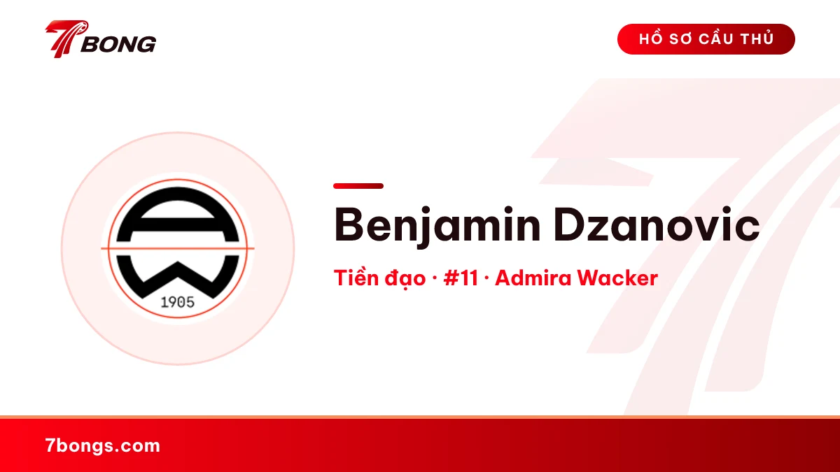 Benjamin Dzanovic — Admira Wacker