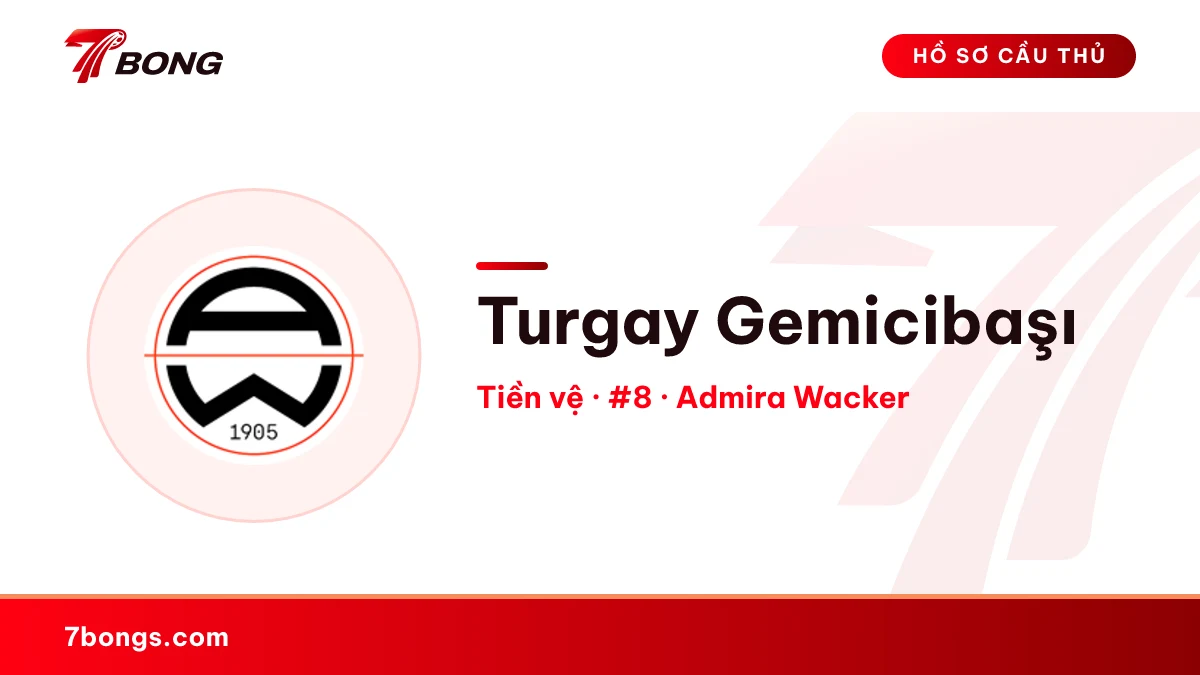 Turgay Gemicibaşı — Admira Wacker
