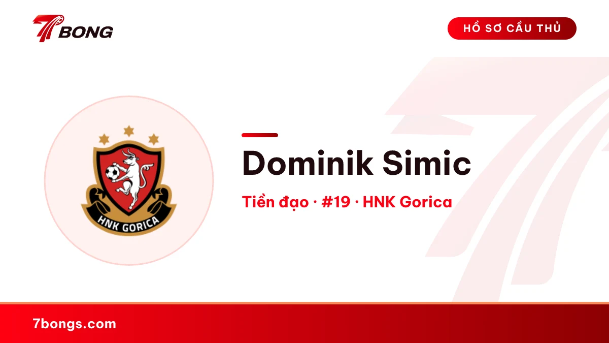 Dominik Simic — HNK Gorica