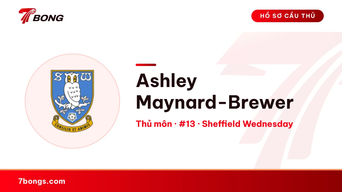 Ashley Maynard-Brewer — Sheffield Wednesday