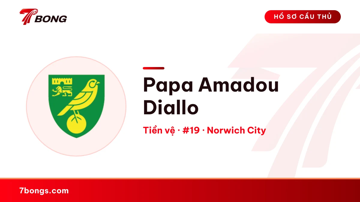 Papa Amadou Diallo — Norwich City