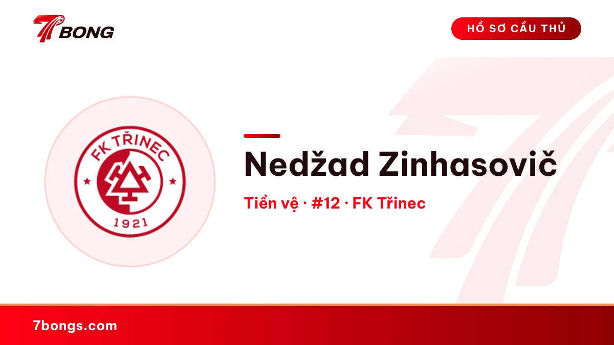 Nedžad Zinhasovič — FK Třinec