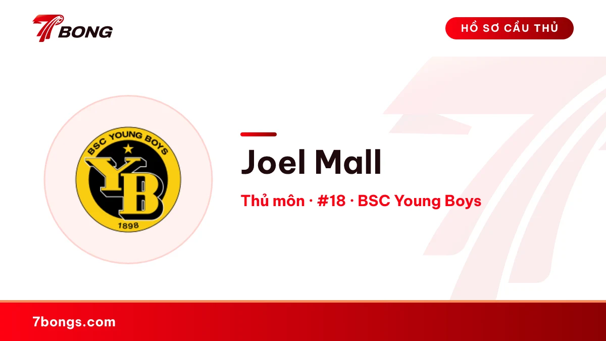 Joel Mall — BSC Young Boys