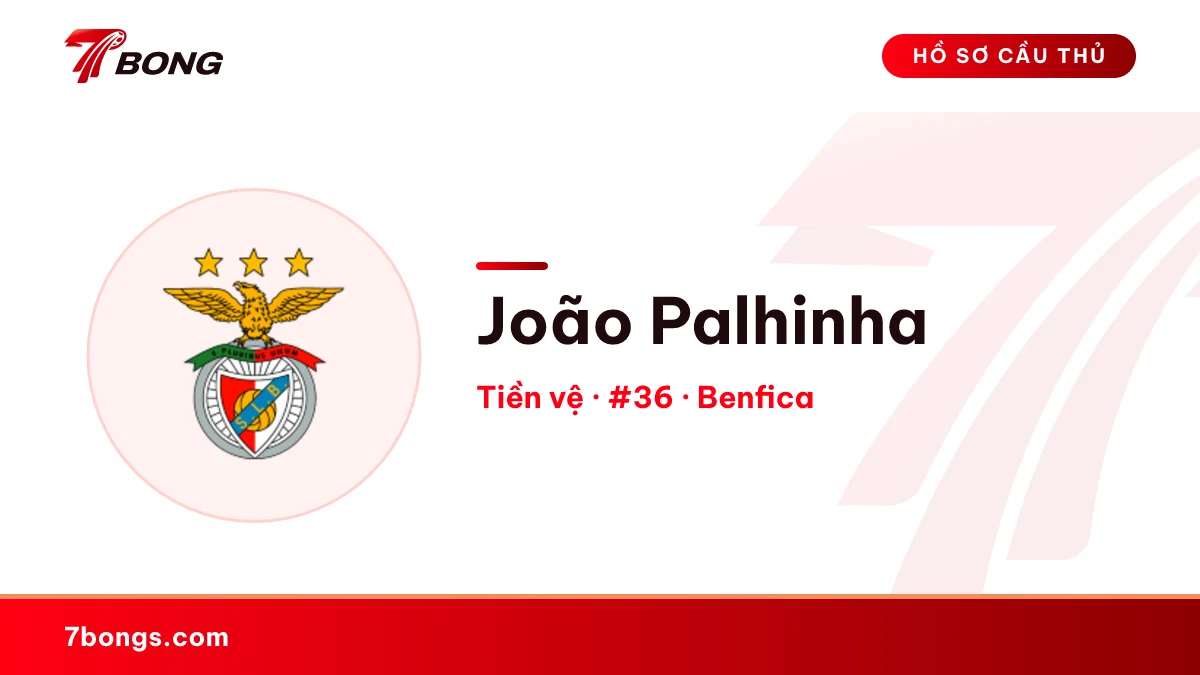 João Palhinha — Benfica