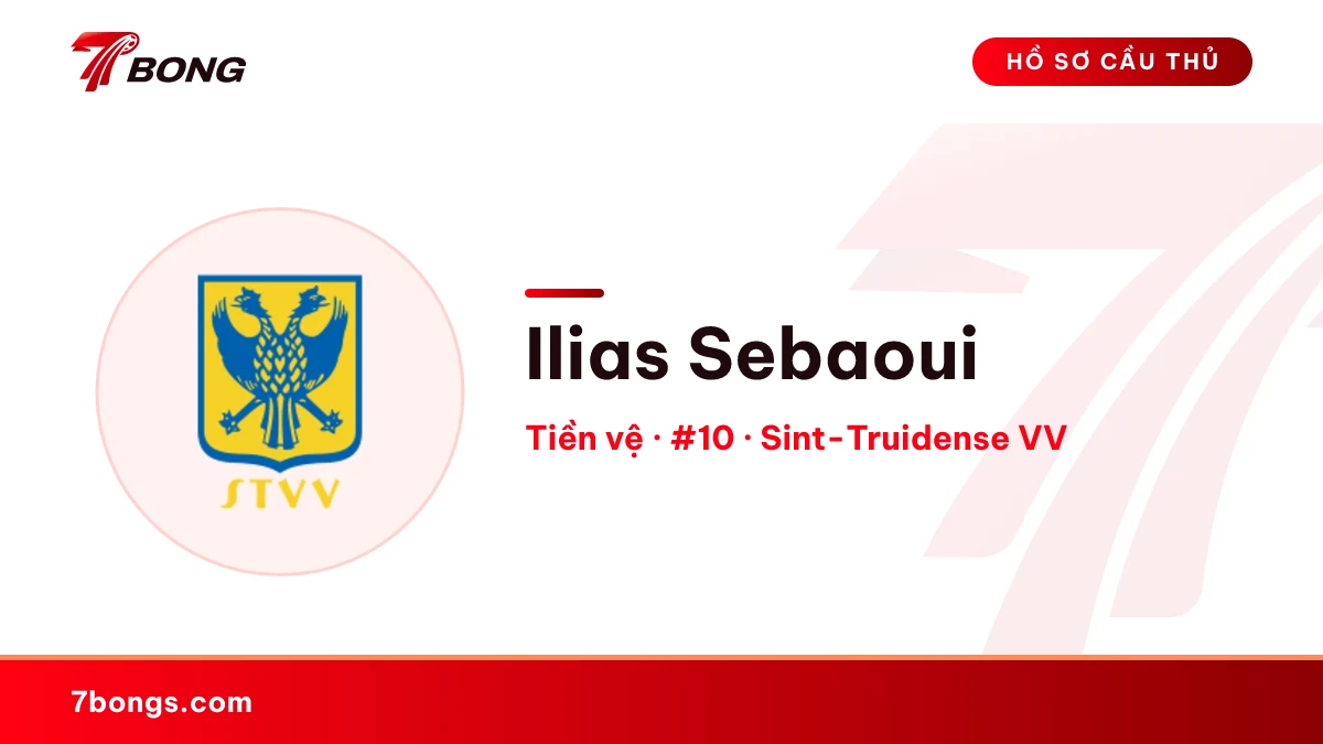 Ilias Sebaoui — Sint-Truidense VV