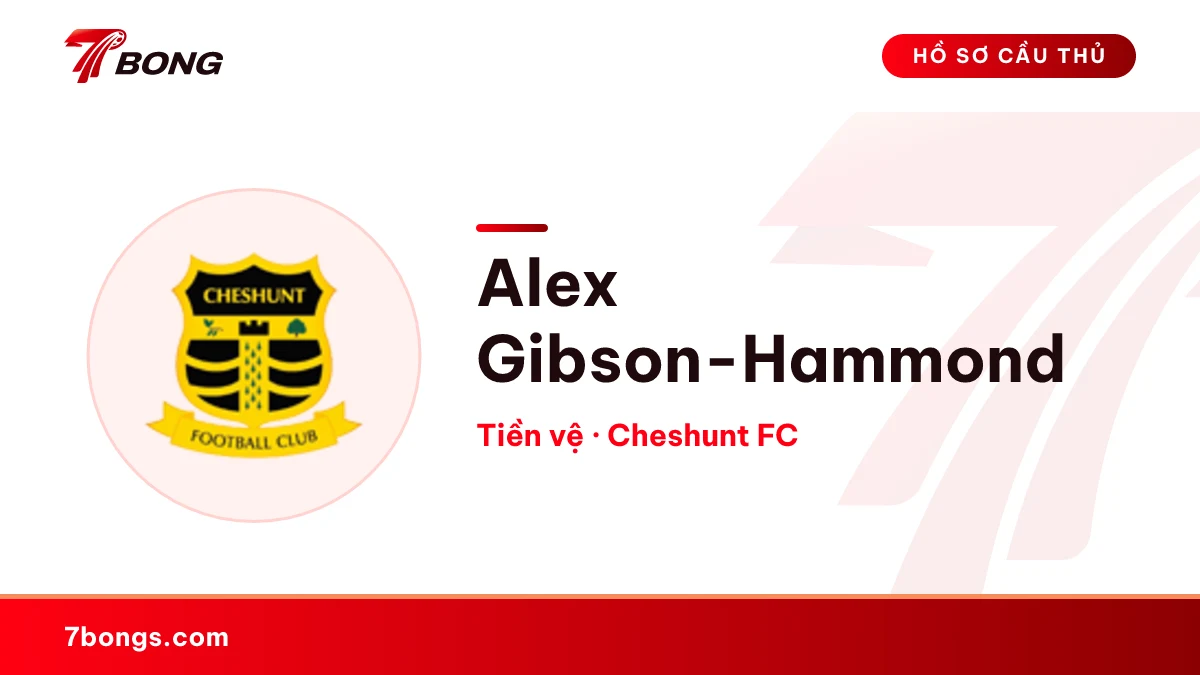Alex Gibson-Hammond — Cheshunt FC