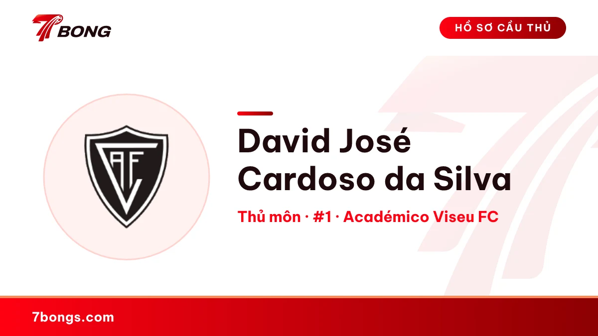 David José Cardoso da Silva — Académico Viseu FC