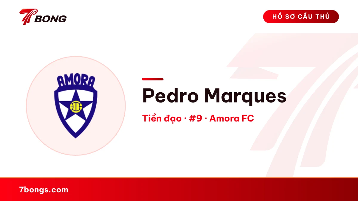 Pedro Marques — Amora FC