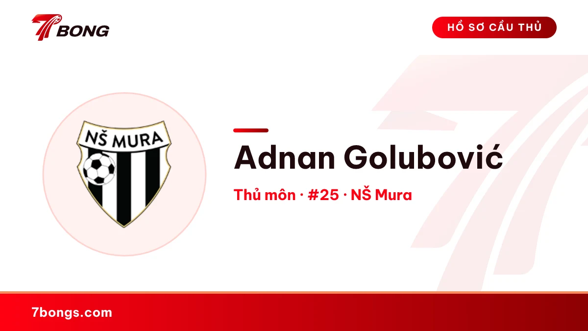 Adnan Golubović — NŠ Mura