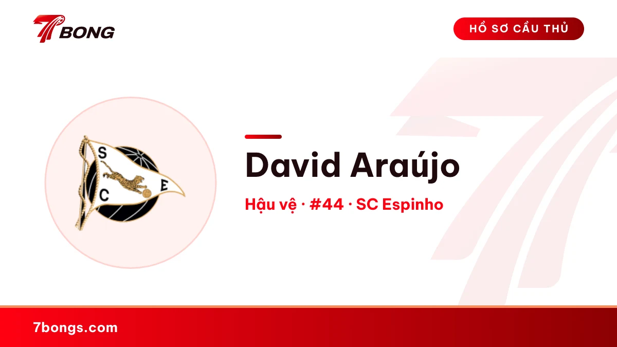 David Araújo — SC Espinho