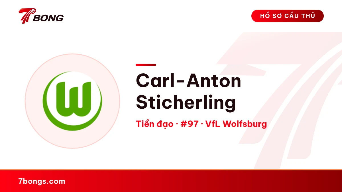 Carl-Anton Sticherling — VfL Wolfsburg